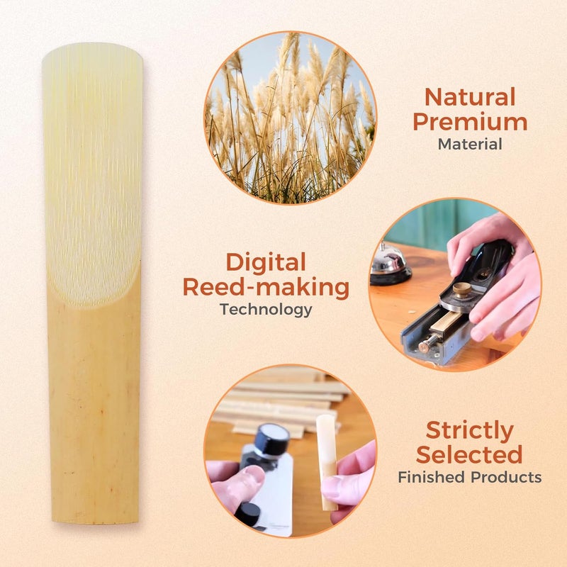 Sovvid Handcrafted Tenor Saxophone Reeds 3.0 – Premium Natural Cane, Warm & Rich Tone, Durable & Consistent, Thinner Tip for Easy Play, Individually Packed with Portable Reed Case (Box of 10) - Image 2